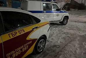 В помощь полиции